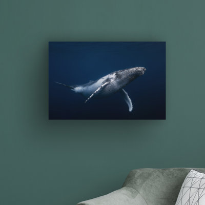 «Humpback Whale in Blue» par Barathieu Gabriel - reproduction de photo sur toile tendue