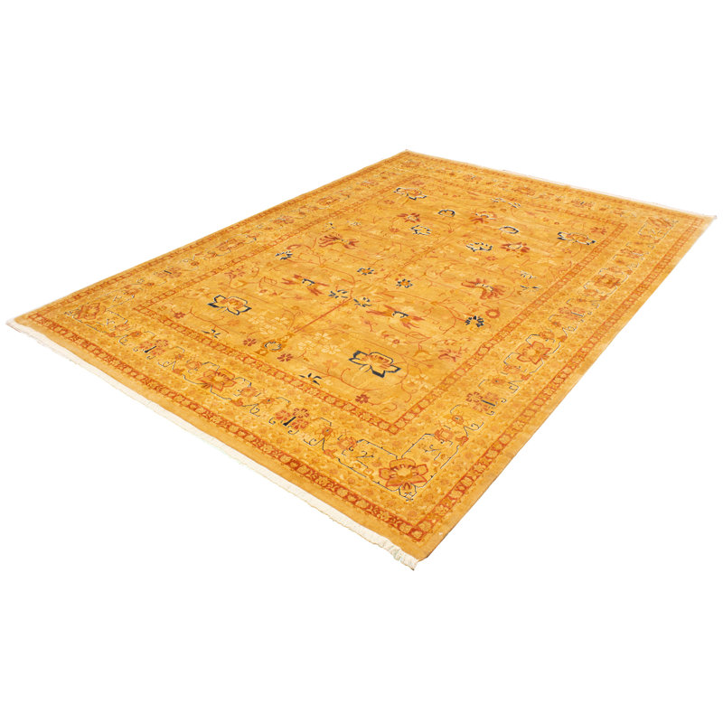 Tapis décoratif en laine noué à la main de conception unique en laine noué à la main de conception unique 10 pi 1 po x 14 pi 3 po Dianeshia