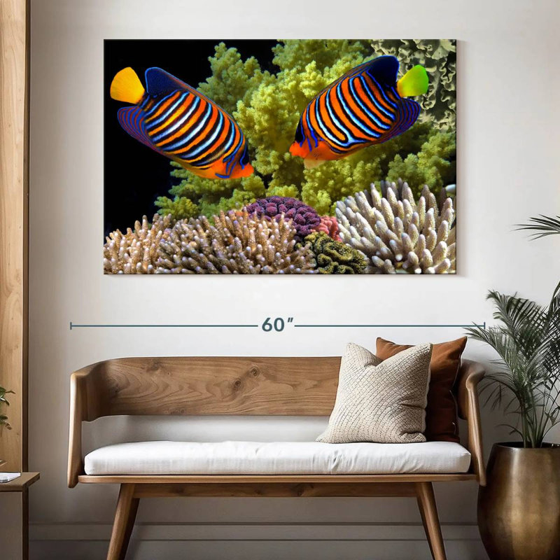 Brampt Red Sea Reef Regal Angelfish, 34" H x 51" W