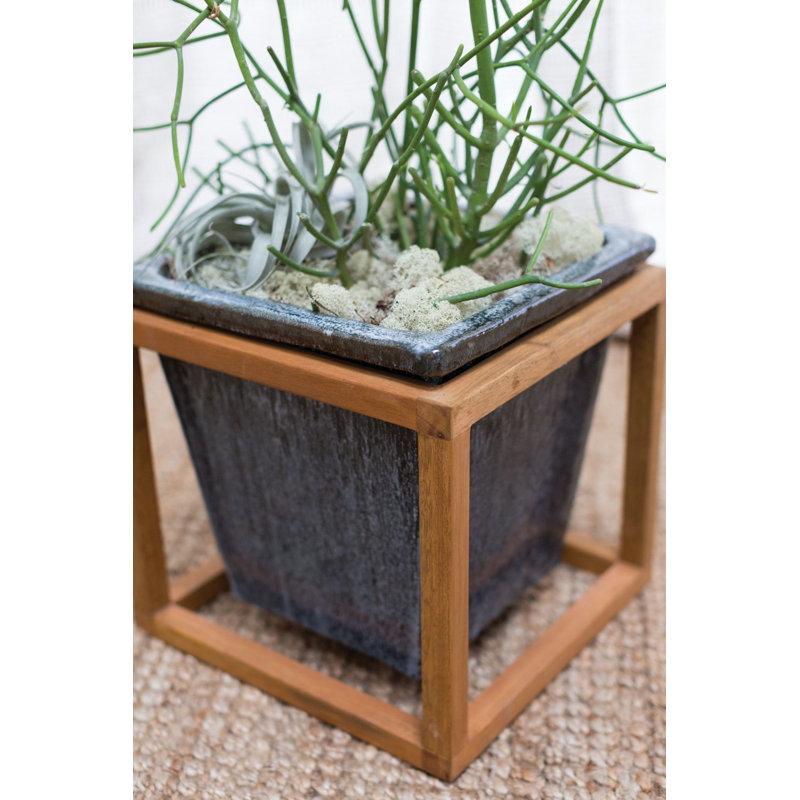 3.5'' Moss Plant, White