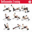 Dumbbell Bench