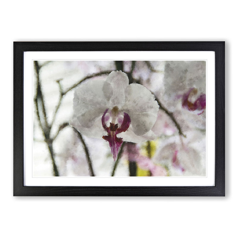 Orchid Flowers Vol.4 - Framed Print, 36cm H x 48cm W x 2cm D, Black Framed