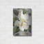 Magnolia Blossoms II par House Fenway-137870301