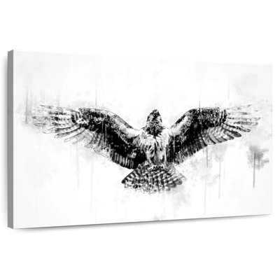 Crowle Hawk Flying Black And White