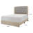 Yashira Solid Wood Tufted Standard Bed-1452623045