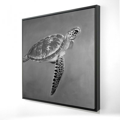 «Tortue aquatique en niveaux de gris»