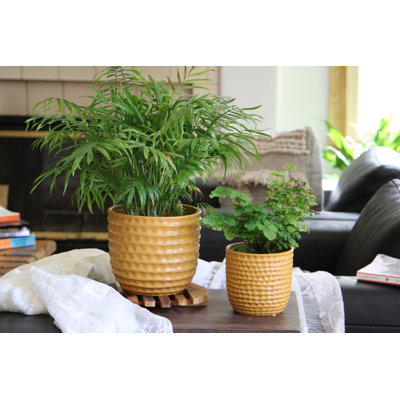 Honeycomb Planter By 