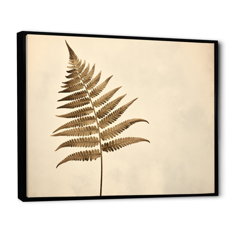 " Beige Ferns Plant Timeless Elegance II ", H 30 po x l 40 po x P 1,5 po, Cadre flottant noir