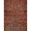 Sarouk Hand Knotted Wool Oriental Area Rug in Rust/Black