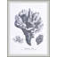 Cultivated Antiquity 5 Print-745814697