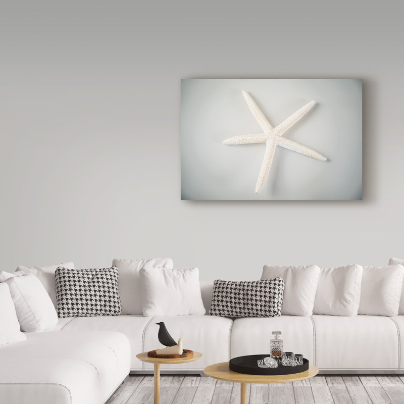 « white starfish », reproduction d’impression sur toile tendue, H 12 po x l 19 po x P 2 po