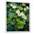 Cadre flottant blanc