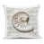 Brown Cowrie Shell
