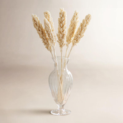 Clerkin Botanical Stems