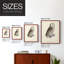Impression encadrée V-French French Owls - prêt à être accroché - aucun clou requis - aucun clou requis-1395657815-1395657809