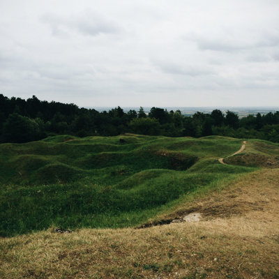 Grassy Meadow by Alvarez