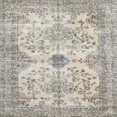 Oriental Indoor Rug