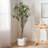Artificial Milan Leaf Bonsai-797083641