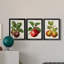 Antique Fruit IX - Ensemble de 3 impressions sur toile encadrées-700919552-700919553