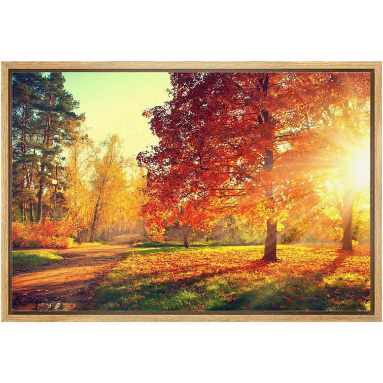 Arts Large Wall Art Fall Scenery Canvas Prints Panorama Forest in Vibrant  Warm Colors Sun Shining Through Leaves Pictures Autumn HD Printed Painting
