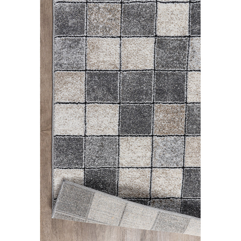 Lasedrick Chequered Area Rug, Rectangle 160 x 230cm