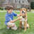 PetSafe® In-Ground Pet Fence