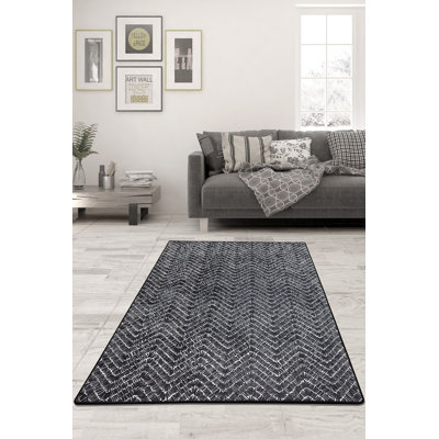 Tapis antibactérien 100% polyester, 31,5 po x 59,1 po | Hauteur des poils: 0,15 po, épaisseur totale: 0,4 po | Dessous antidérapant, lavable à la machine, idéal pour les entrées et les espaces de vie