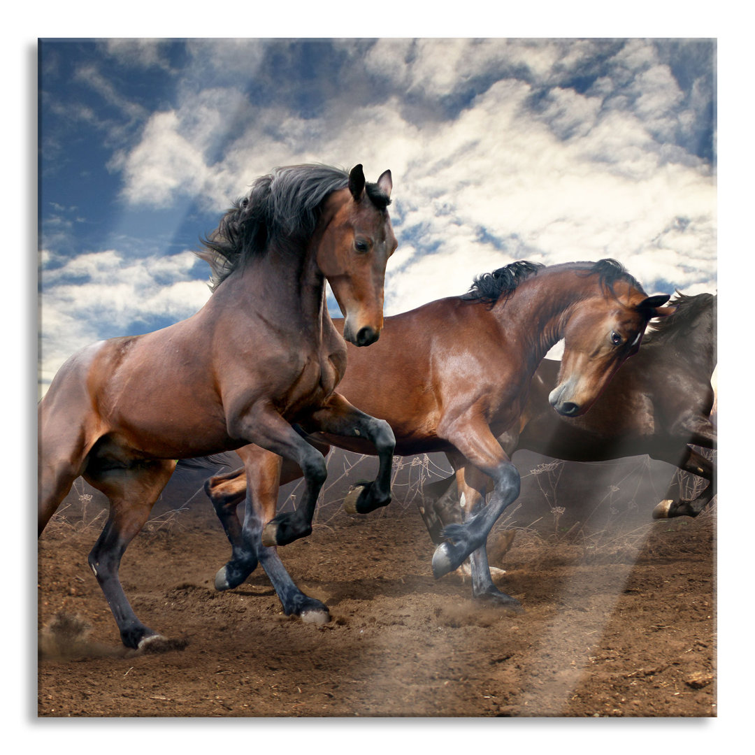 Glasbild Wild Free Horses