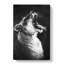 Yawning Lioness - Wrapped Canvas-55320200