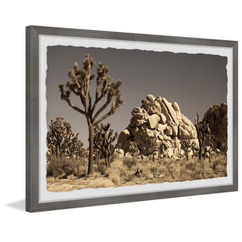 Cactus And Rocks - Single Picture Frame Print, 20cm H x 30cm W x 3.81cm D