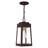 Antionetta Outdoor Hanging Lantern-448062610