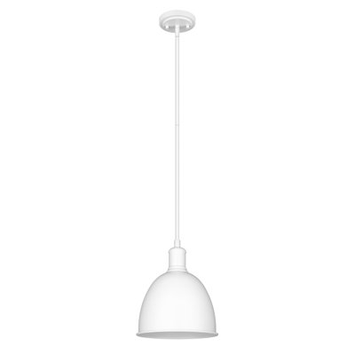 Luminaire suspendu 1 lumière Waldon Sawyer