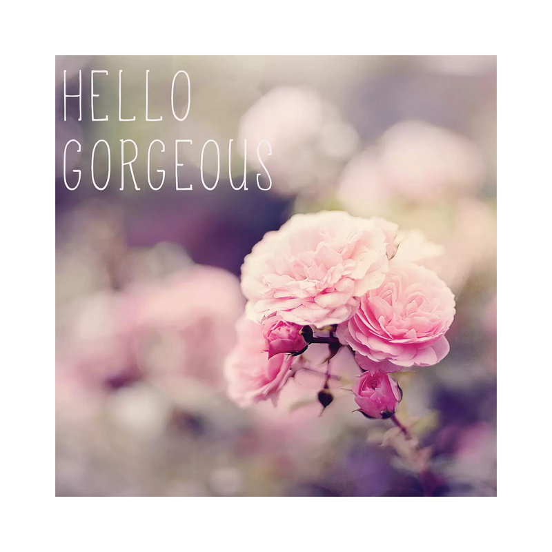Hello Gorgeous by Sarah Gardner - Wrapped Canvas Gallery-Wrapped Canvas Giclée, 45.72 cm H x 45.72 cm W