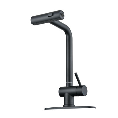 RENIST Pull Down Kitchen Faucet