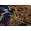 One-of-a-Kind 3’8x5’8 Hand Knotted Area Rug