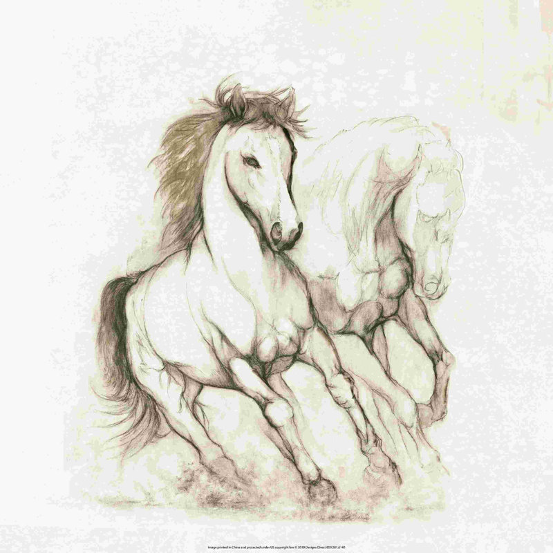 " Horse Study ", 12" H x 12" W  