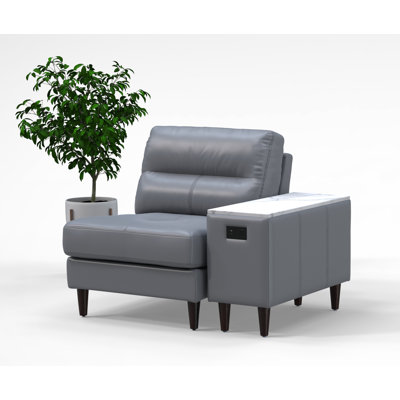 Ensemble de chaises de salle d'attente pour 1 personne 100% cuir véritable, ensemble 2 pièces, gris