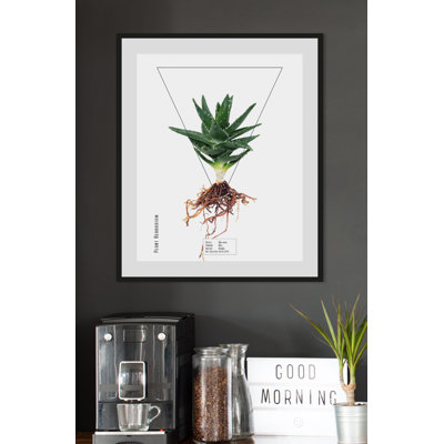 Plant - Single Picture Frame Print