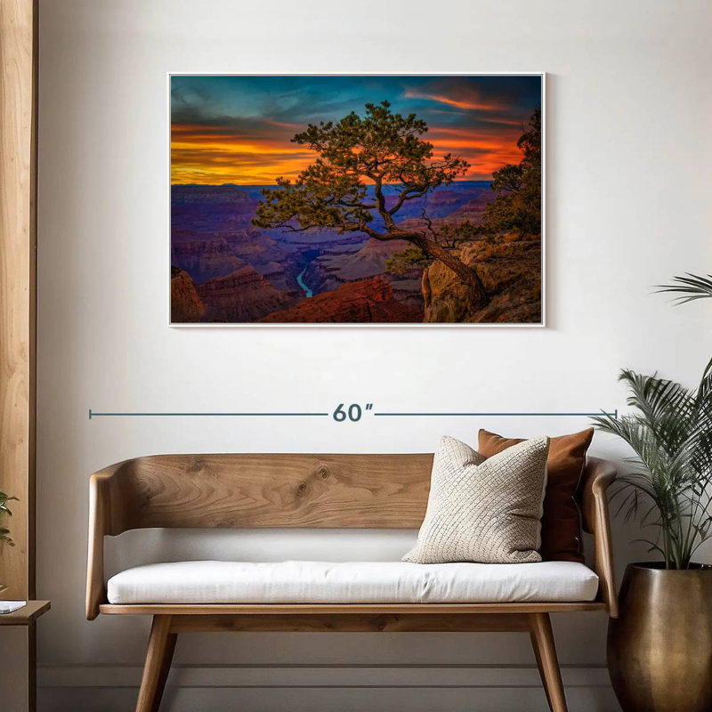 Genévrier du Grand Canyon, Cadre flottant blanc, 43 po x 29 po
