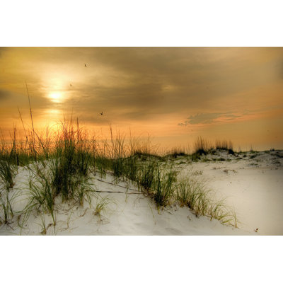 Seagulls At Sunrise - Wrapped Canvas Print