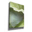  «Banana Leaf 1» par Brittany Evans, art mural sur toile, 18 po x 26 po
