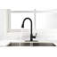 Robinet de cuisine avec douchette extractible