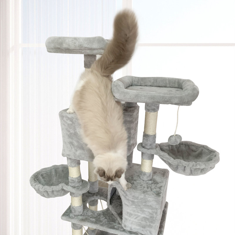 Suellen 57.5'' H Cat Tree