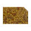 Wool Oriental Area Rug in Brown