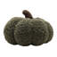 Orange Cushion-1634585656