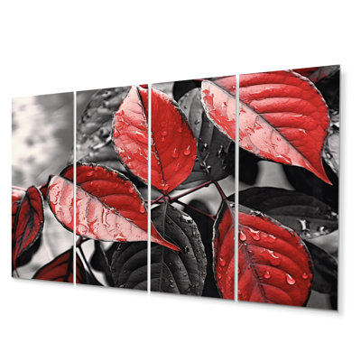 Traditional Plants & Flowers Wall Decor on Metal