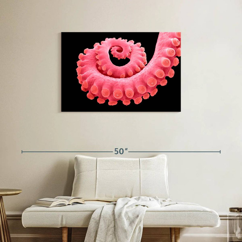 Brampt Pink Octopus Tentacle, 24" H x 36" W