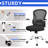 Chassy Mesh Task Chair