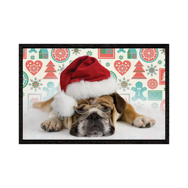 Bruno Holiday by Rachael Hale - Print on Canvas, 101.6 cm H x 66.04 cm W, Black Framed