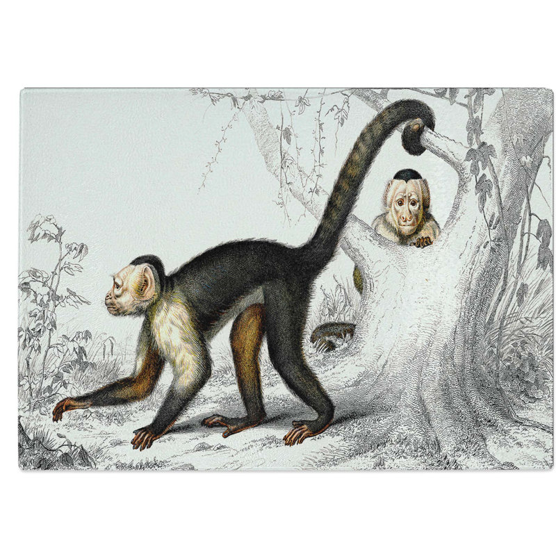 Tempered Glass Capuchin Monkeys Chopping Board, 39 cm W x 28.5 cm L